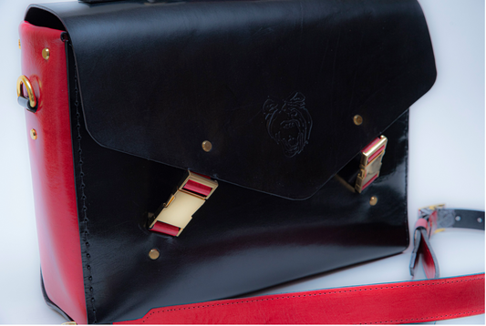 THE PRINCETON MESSENGER